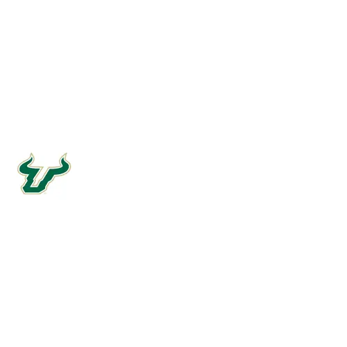 University of South Florida Foundation