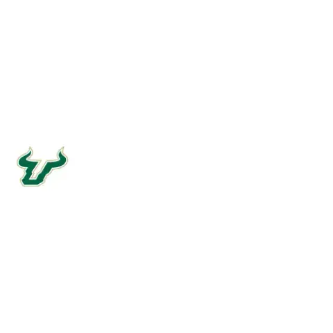 University of South Florida Foundation
