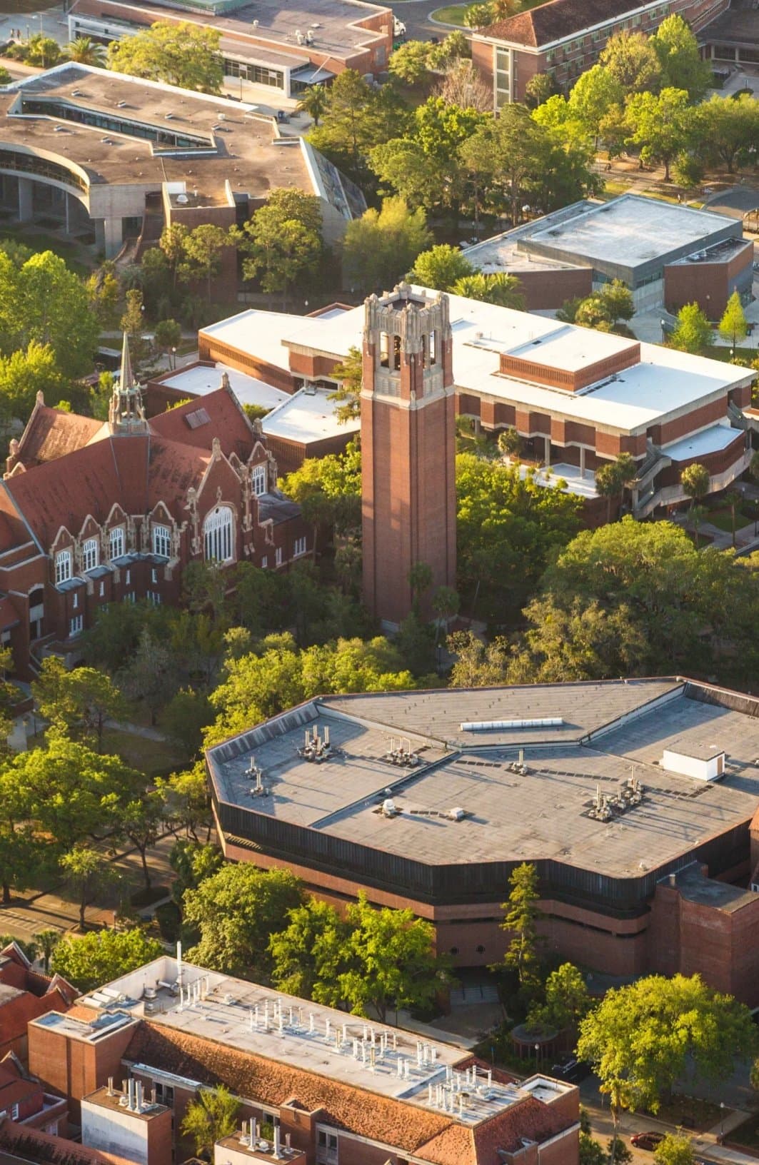 University of Florida cover