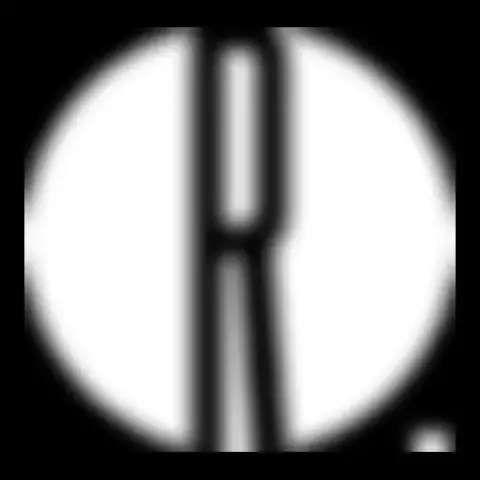 R.A.R.O. (Residencias Artísticas Raramente Organizadas)