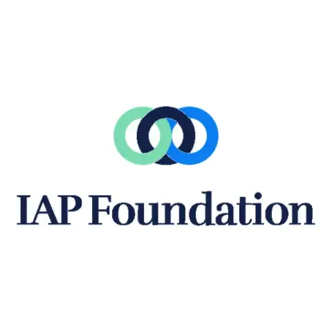 International Art Project Foundation