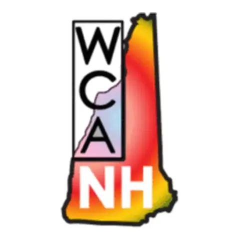 Women's Caucus for Art, New Hampshire