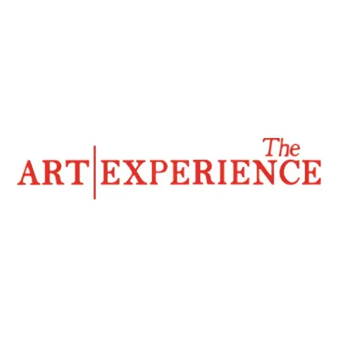 The Art Experience