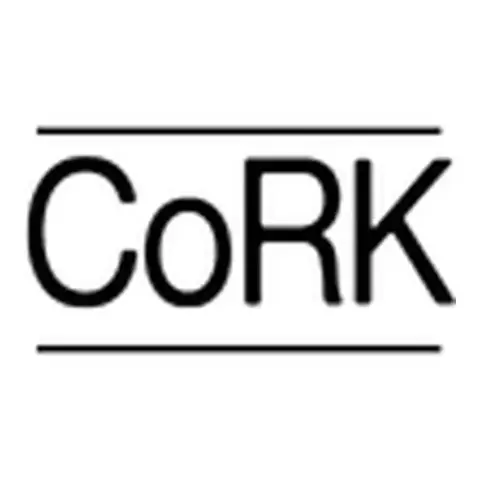 Cork Art Studios