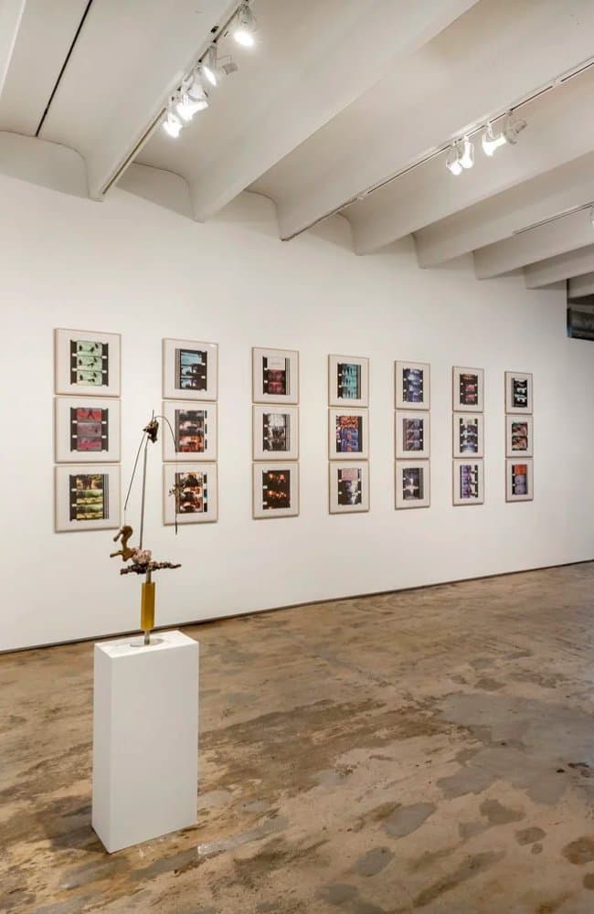 Fredric Snitzer Gallery cover