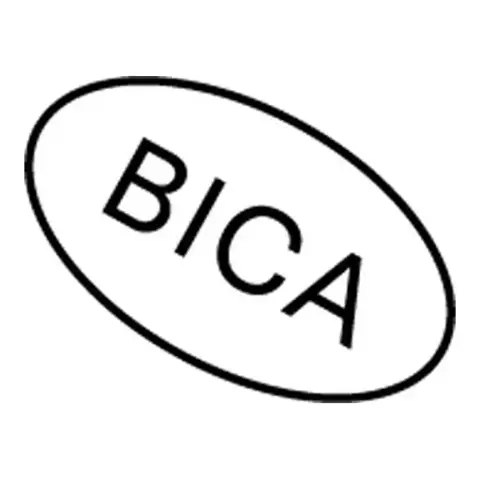 The Buffalo Institute for Contemporary Art