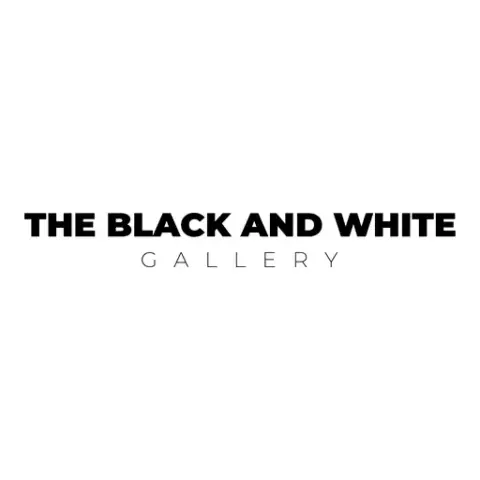The Black & White Gallery