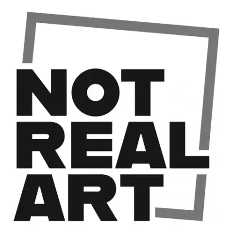NOT REAL ART
