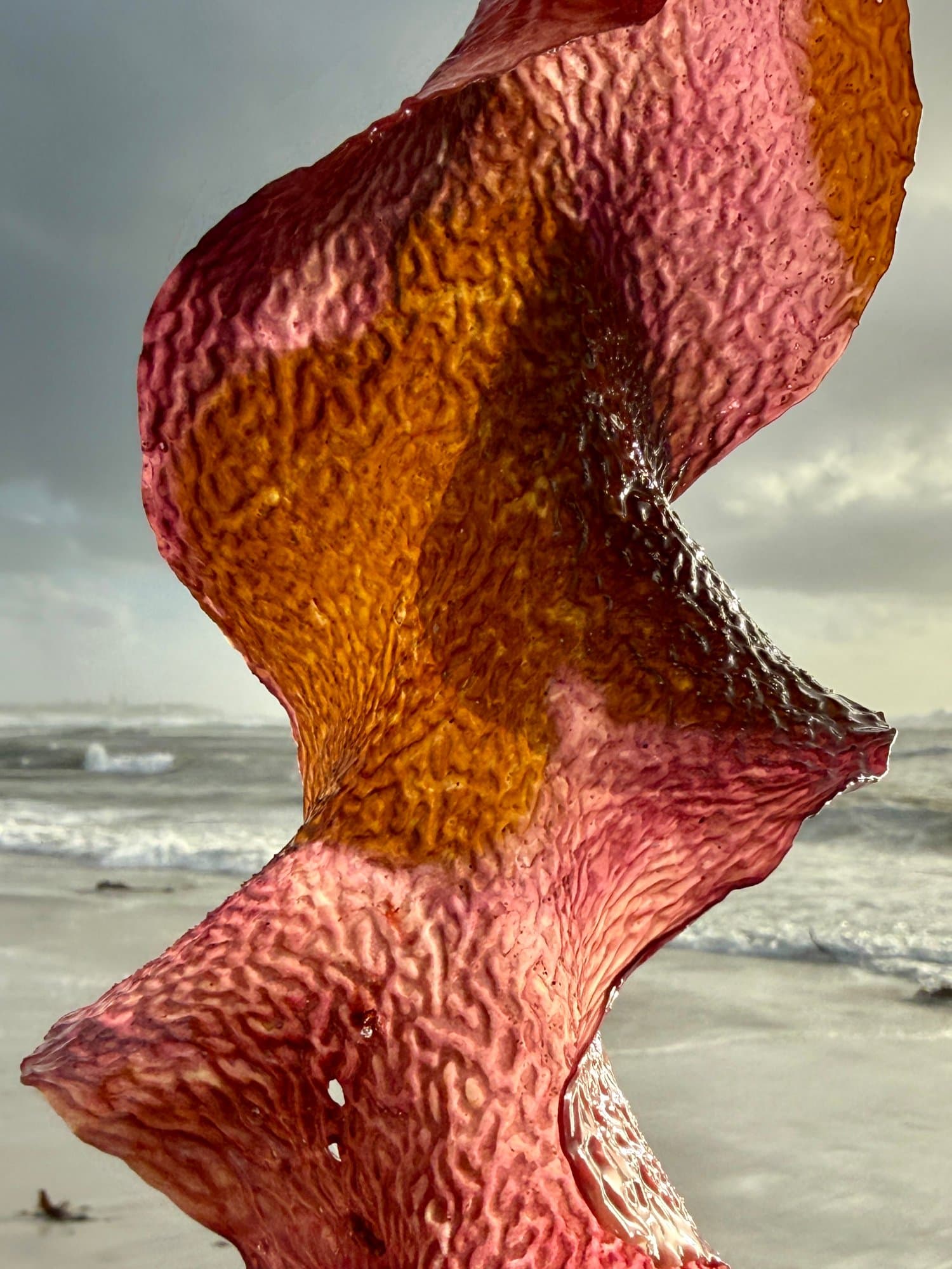 Pantone colour 2026; the antidote