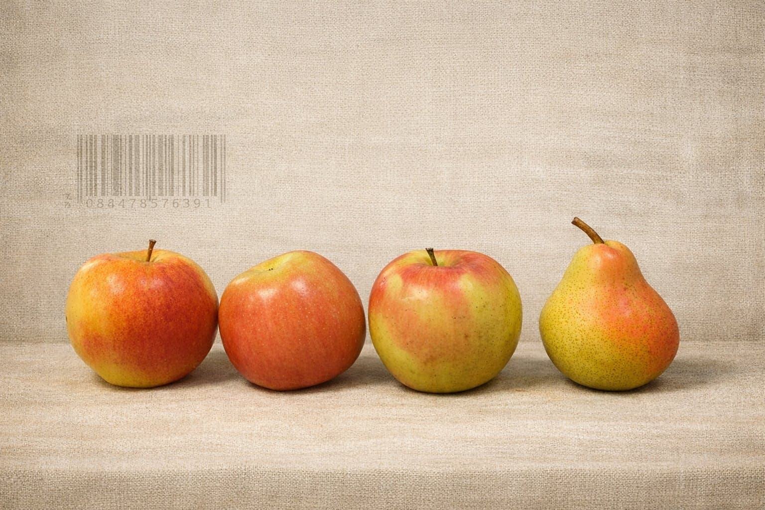 Still Life, 088478576391